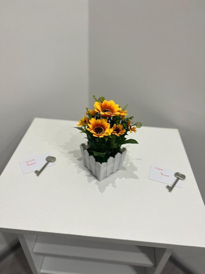 Holiday House Fifteen 卡塔尼亚 外观 照片
